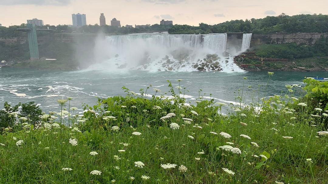 Lost in the Beauty of the Garden: 2023 Perennial Plant Association National Symposium