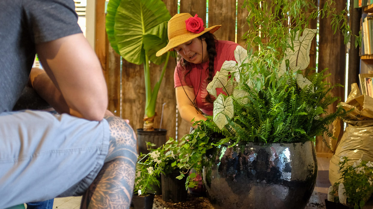 Designing Your Own Dramatic Annual Container Garden