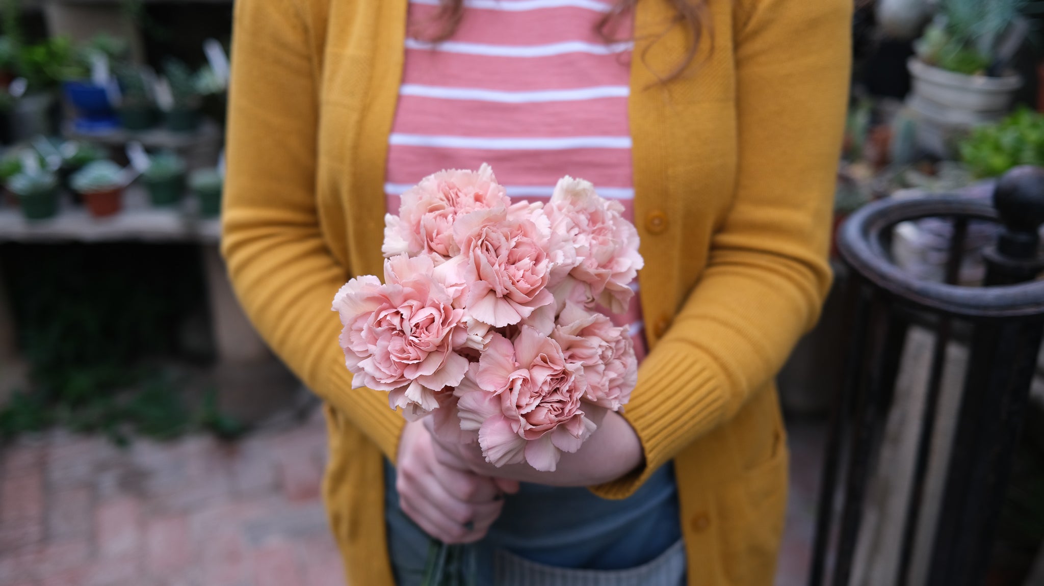 Cut flowers at Michler's