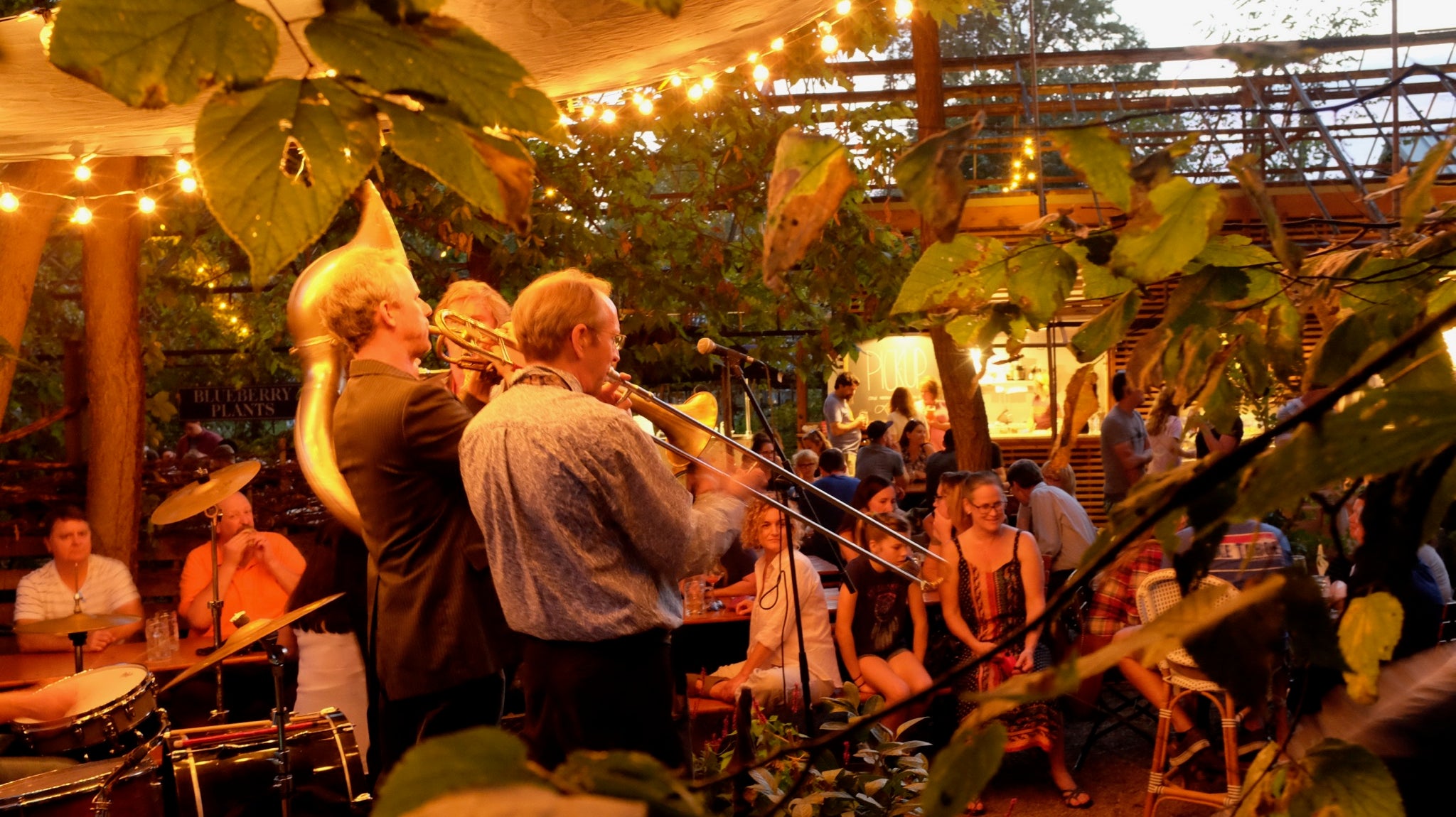 The Swells Brass Band at Kentucky Native Café