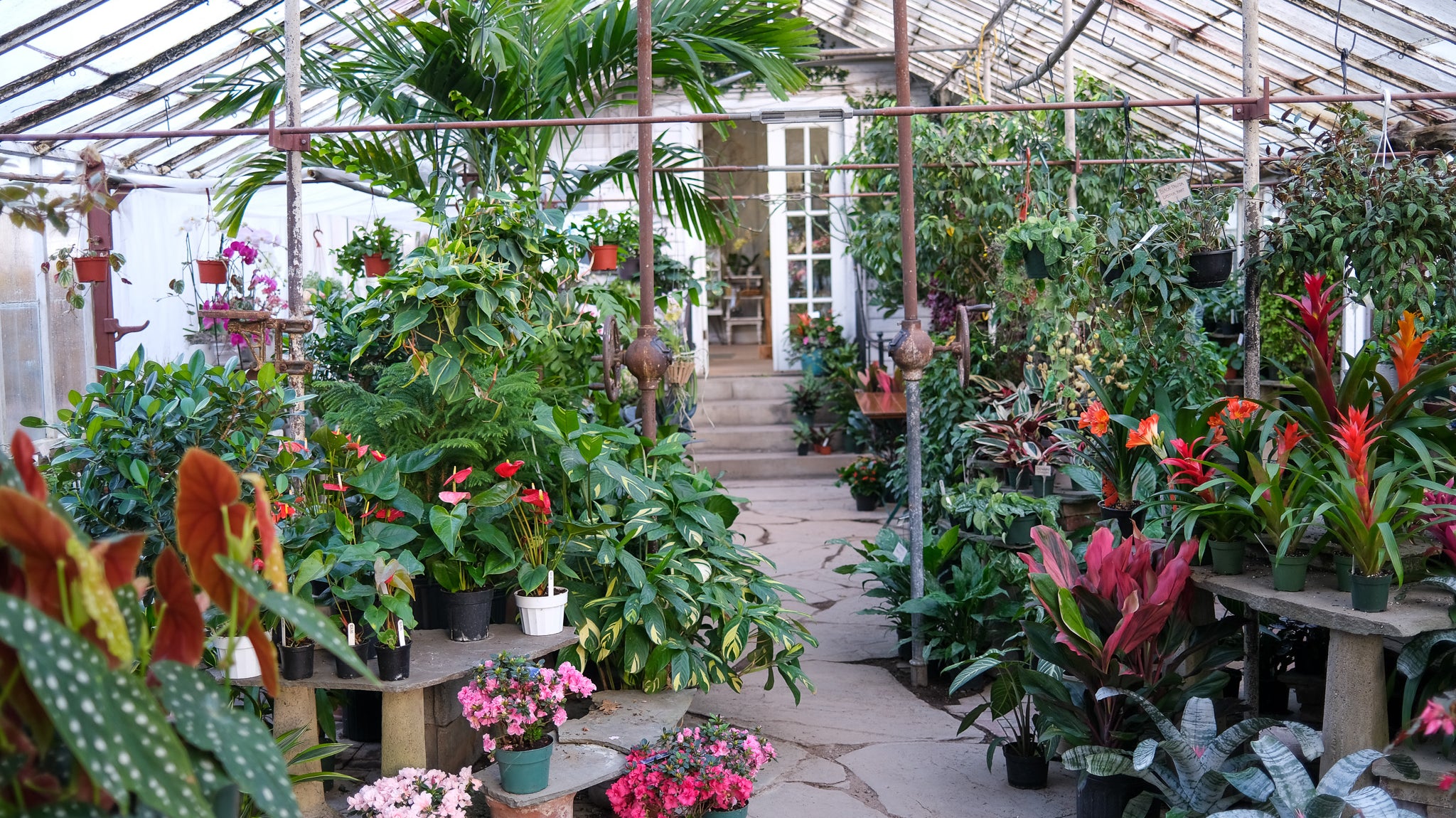 Valentine's 2023 Flora and Food