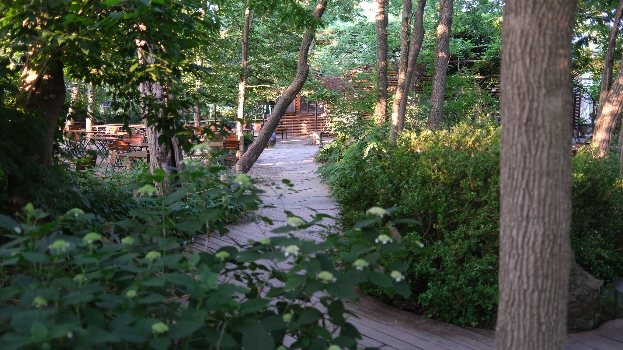 Tree Week at Michler's | Making a Place for Rain