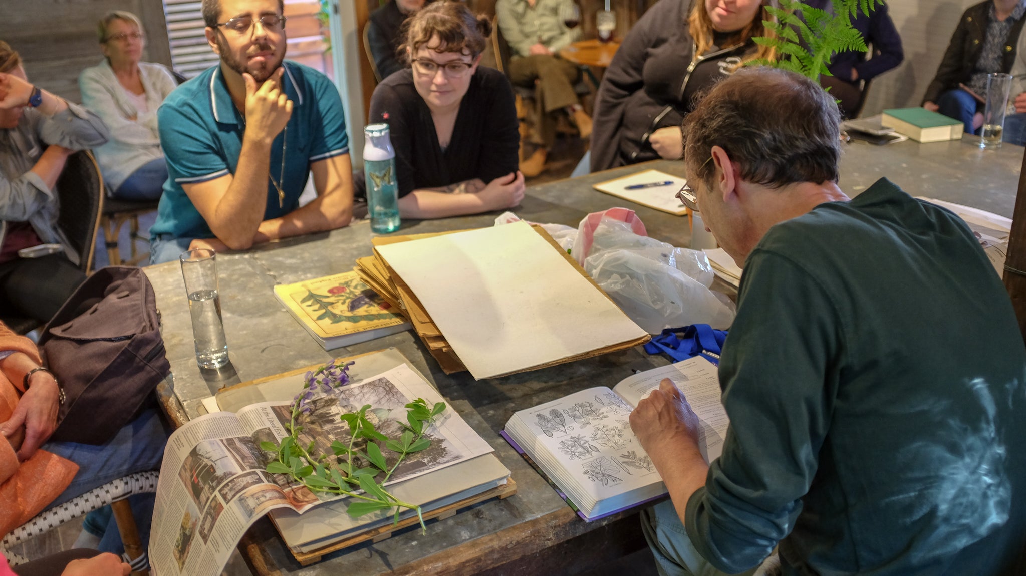 Rob Paratley keying a Baptisia australis in his demonstration on herbariums