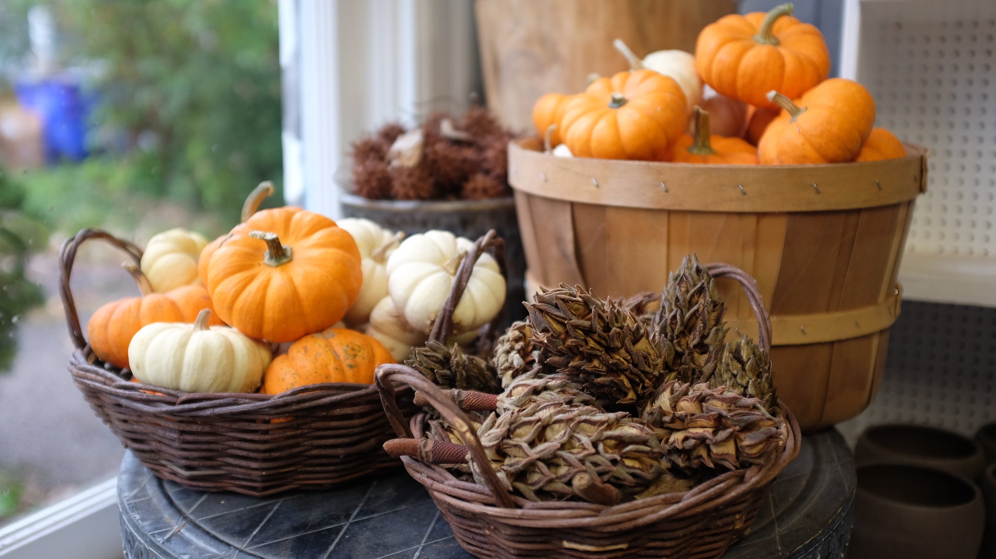 Fall at Michler's Florist and Greenhouses in Lexington