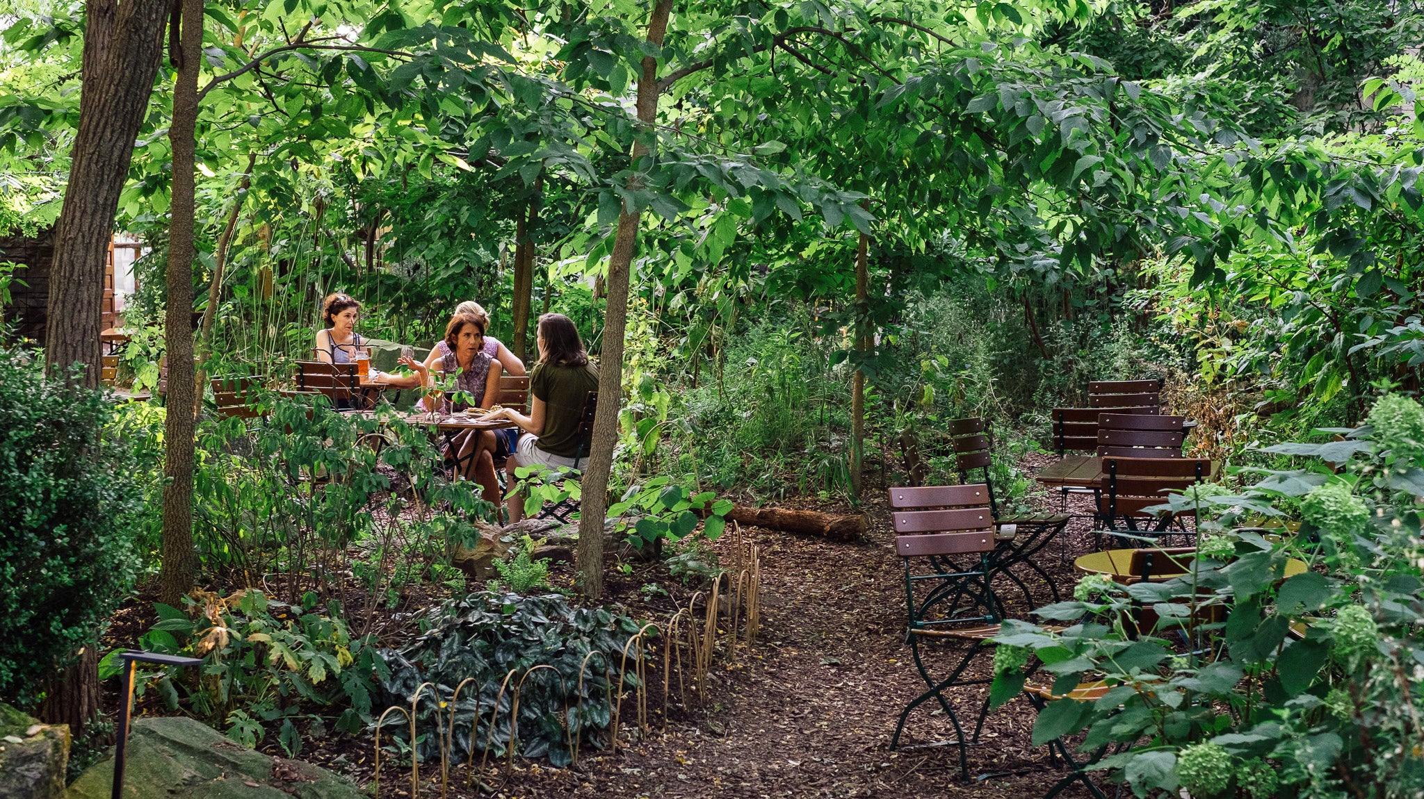 Garden Kentucky Native Cafe Michler's Lexington, Kentucky