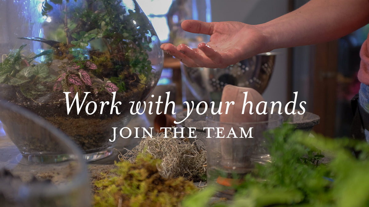 Now Hiring Florist & Garden Center Jobs in Lexington, KY Michler's