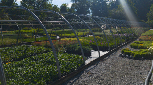 Imagine a Future With Gardening: PPA Symposium