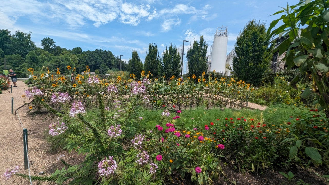 The Meaning in Each Garden