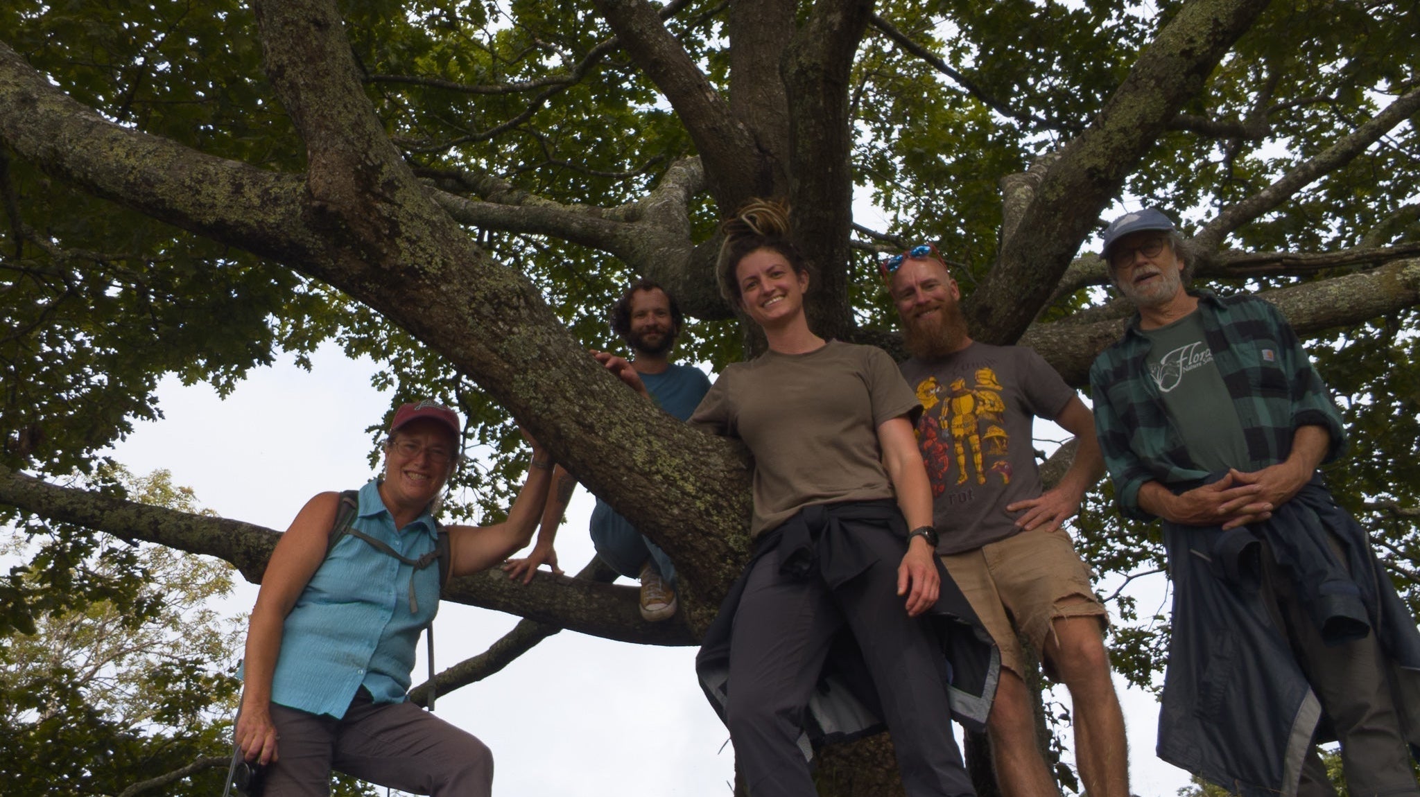 Gardening as a Relationship: Cultivating Spaces That Evolve