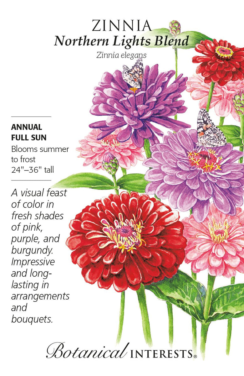 Zinnia Northern Lights Blend Seeds Michler's Greenhouses Michler