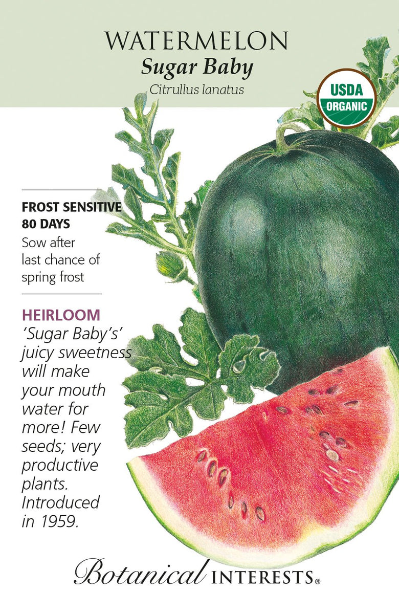 Watermelon Crimson Sweet Organic | Seeds in Lexington, KY
