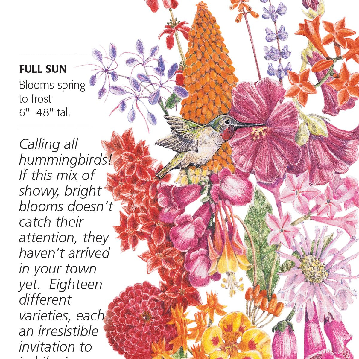 hummingbird haven flower mix seeds Flower Mix Hummingbird Haven