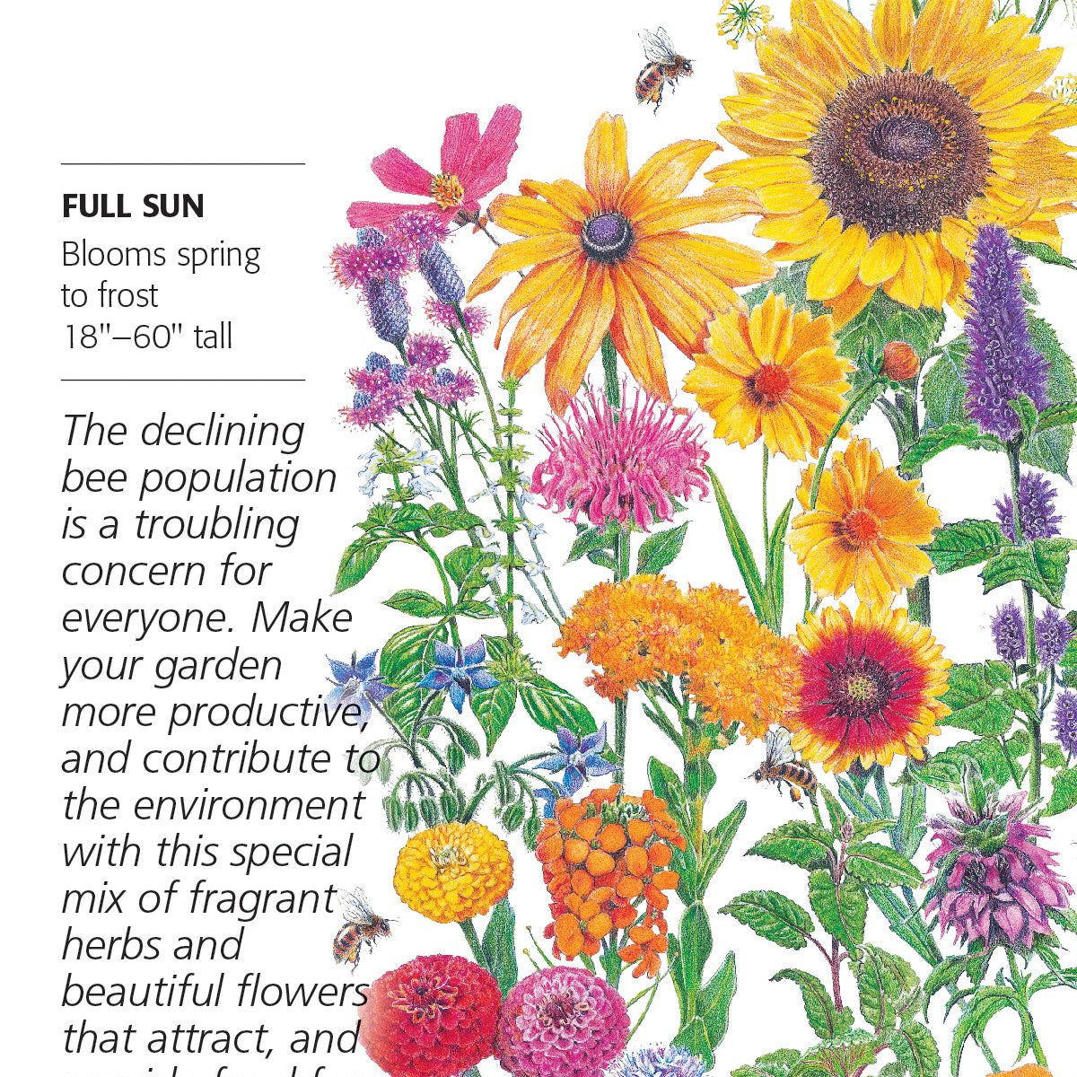 plant these seeds to save the bees Flower Mix Save the Bees – Michler's Florist, Greenhouses & Garden Design