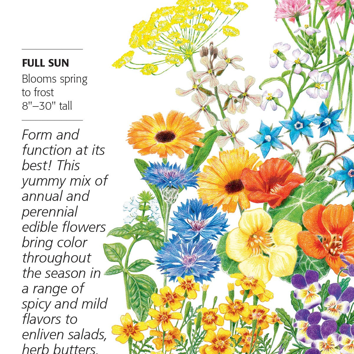 edible flower mix seeds Flower Mix Edible Beauties