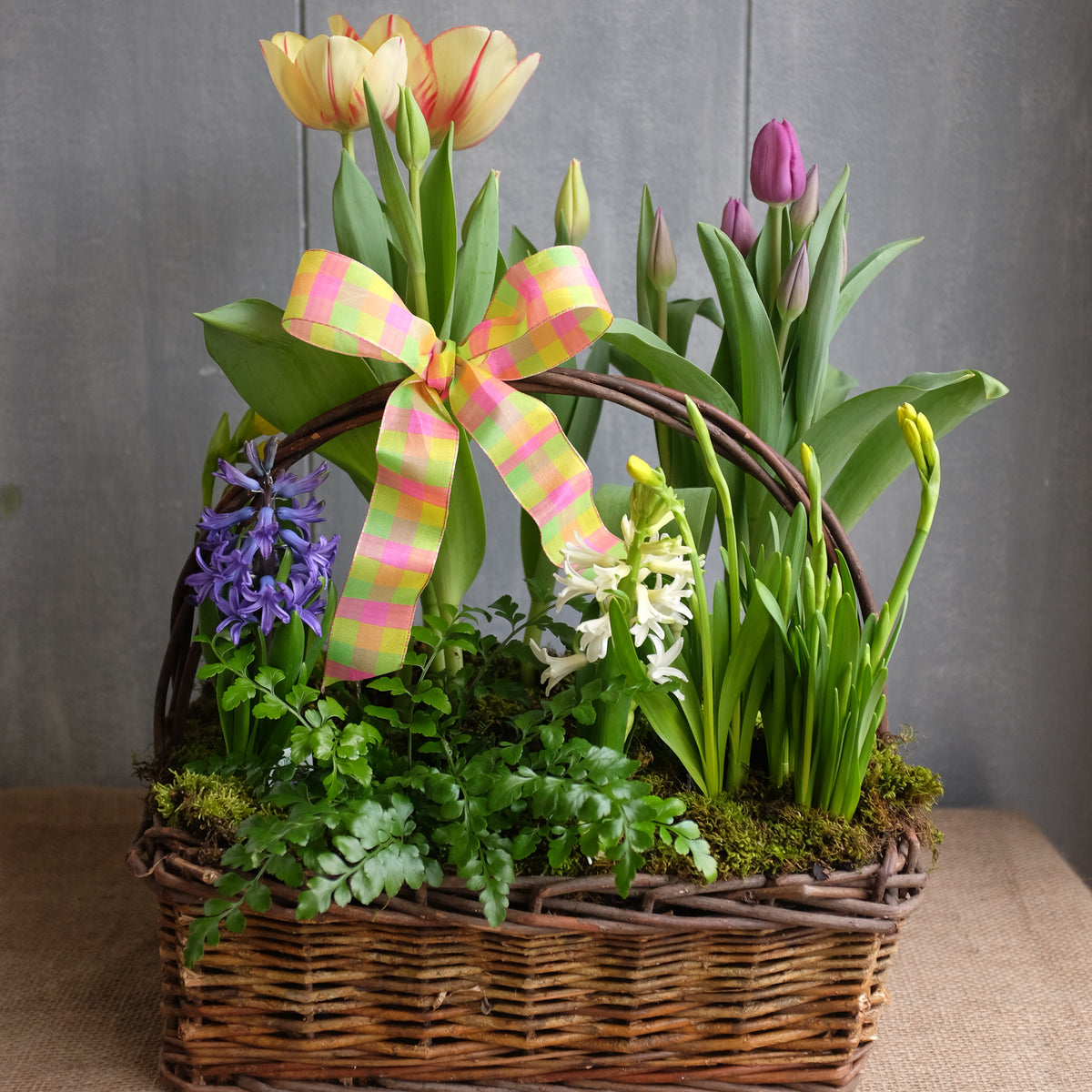 Spring Bulb Basket Lexington, KY Michler's Florist Michler's
