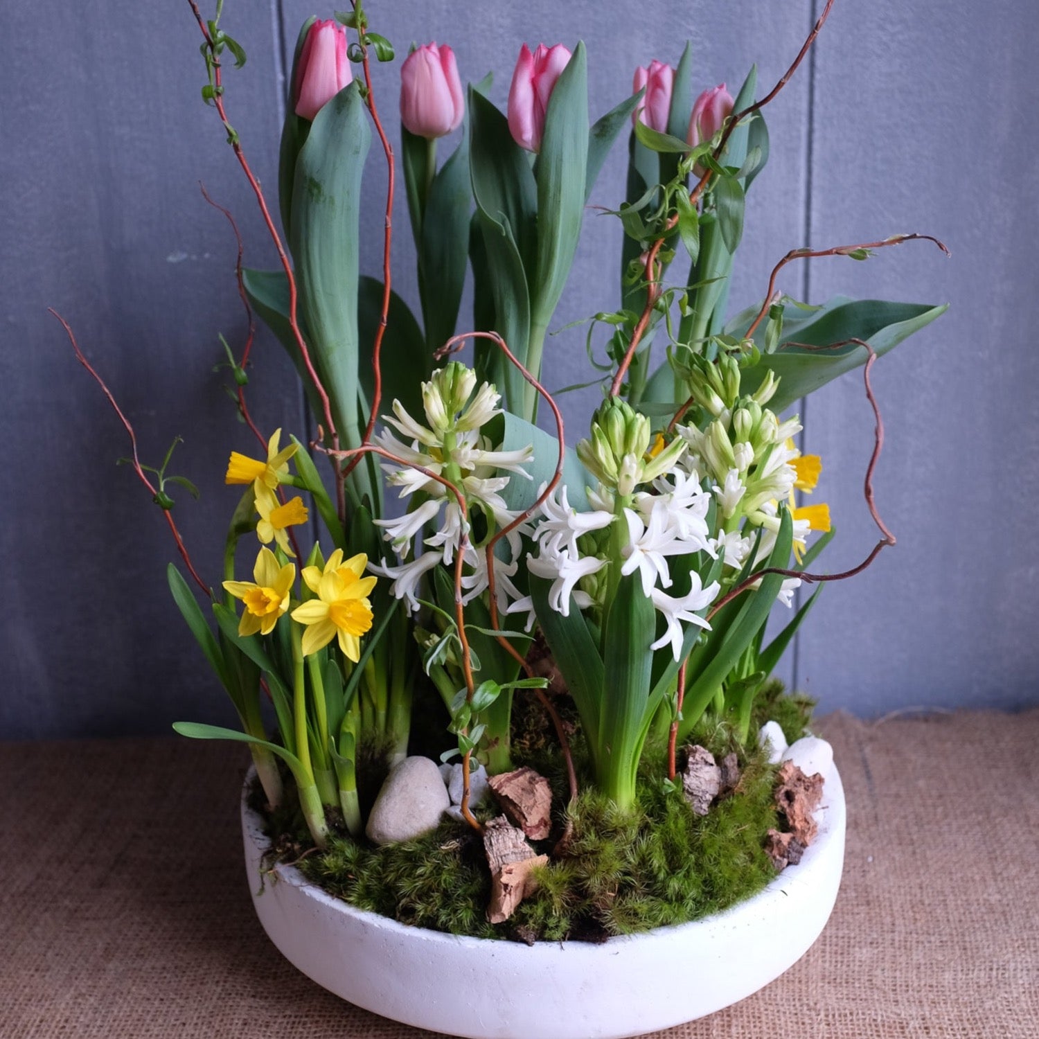Tulip bulbs, hyacinth bulbs, daffodil bulbs in a planter by Michler's Florist