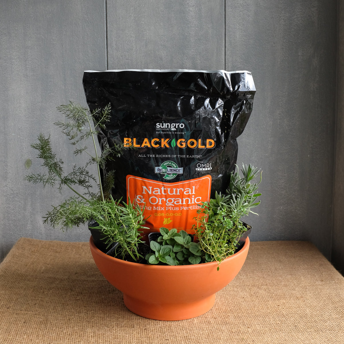 herb potting soil mix Herb Garden Kit | Michler's Florist & Greenhouse