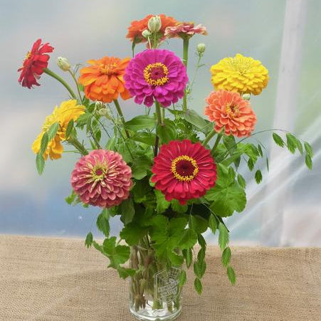 Summer Floral Arrangement of Zinnias by Michler's Florist