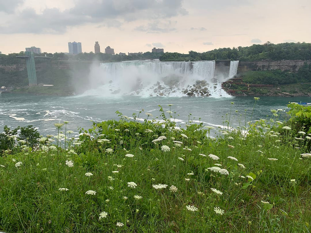 Lost in the Beauty of the Garden: 2023 Perennial Plant Association National Symposium