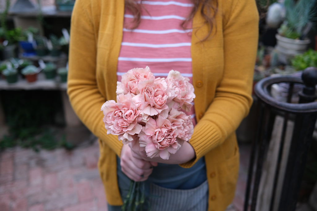 Cut flowers at Michler's