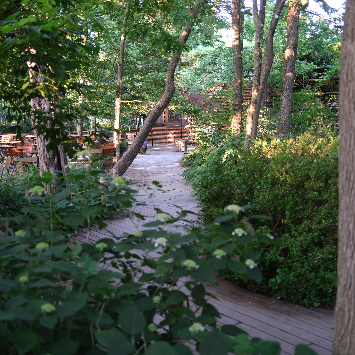 Tree Week at Michler's Making a Place for Rain Michler's Florist