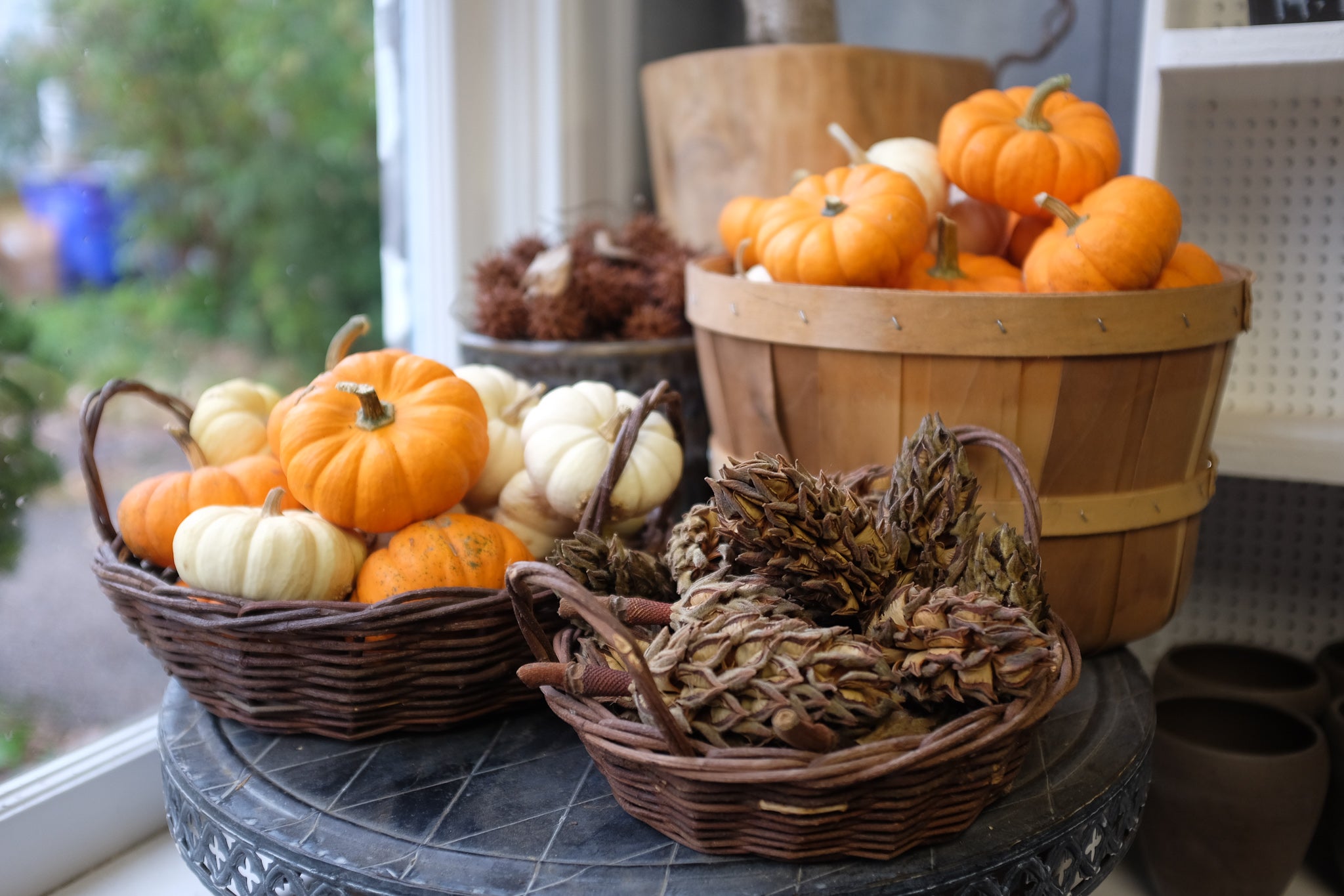 Fall at Michler's Florist and Greenhouses in Lexington