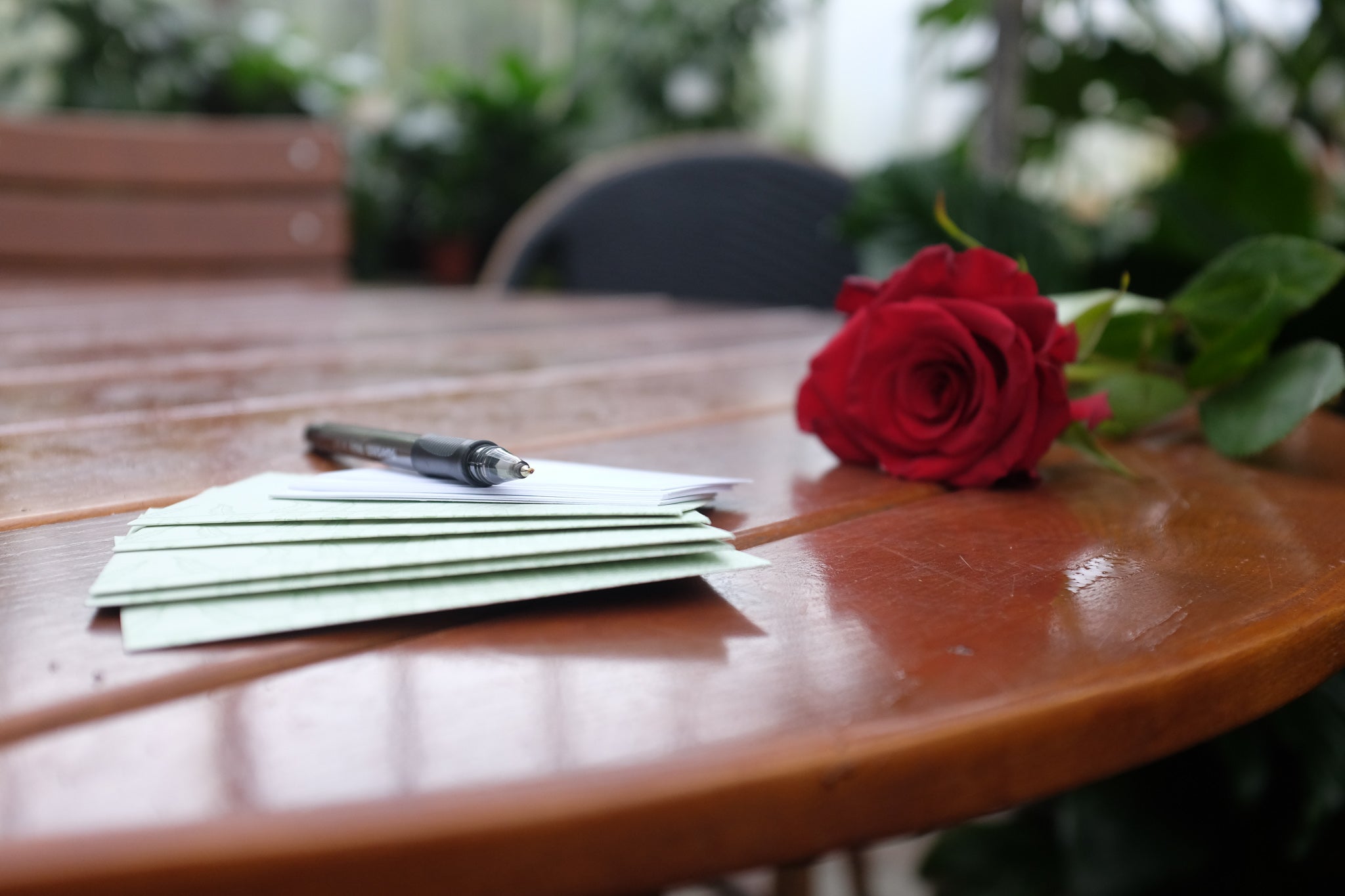 Valentine's Day at Michler's Florist