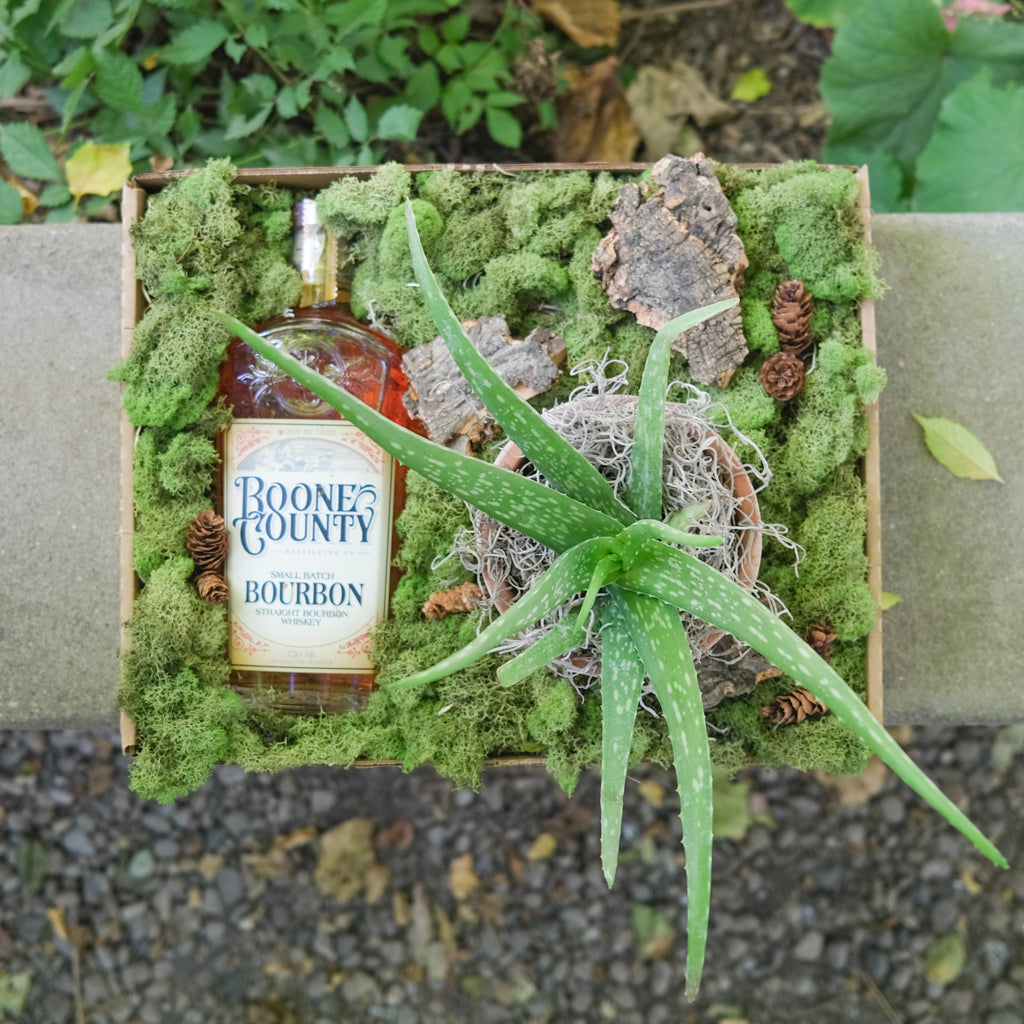 aloe vera gift plant Bourbon and Aloe Gift Box | Delivered in Lexington, KY