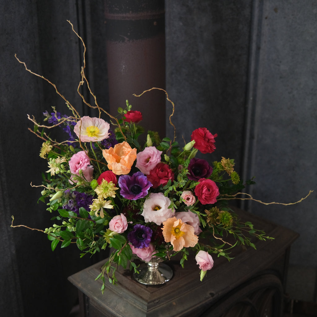 Christmas Collection | Flowers and Plants | Lexington, KY