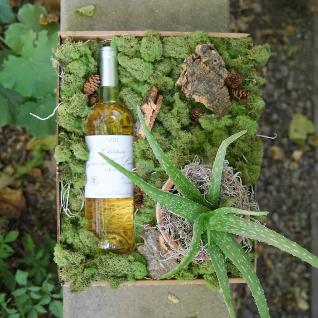 does wine help aloe vera plant Wine and Aloe Gift Box | Delivered in Lexington, KY