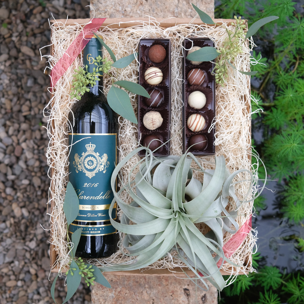 Gift Box with Red Wine Chocolate and Air plant