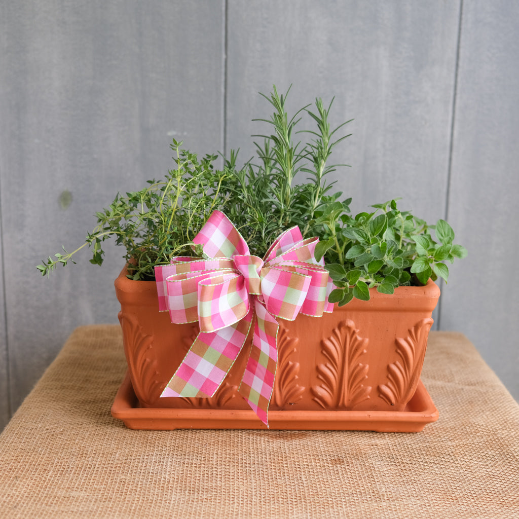 herb plant pots for kitchen Kitchen Herb Trio | Lexington, KY