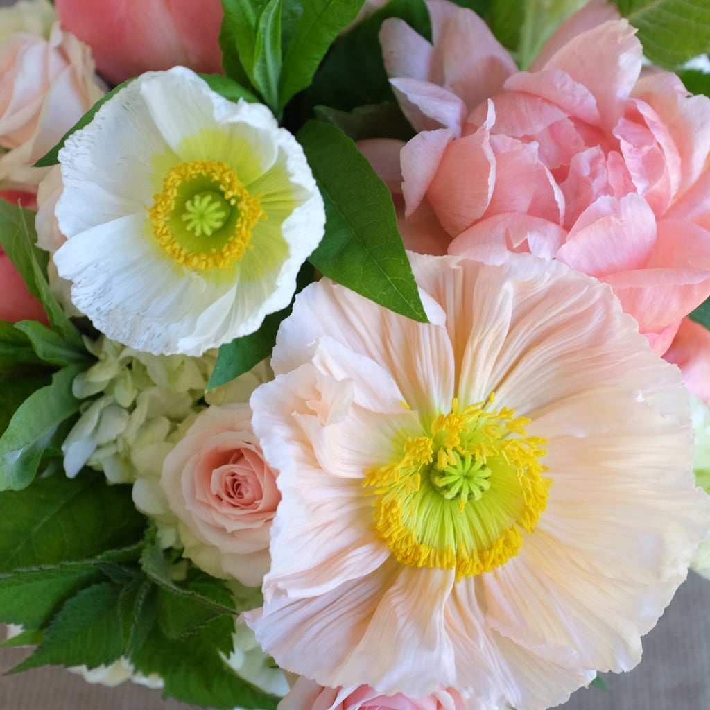 置物 SEPTEMBER MIXED FLOWERS September Floral Collection | Lexington, KY | Michler's Florist