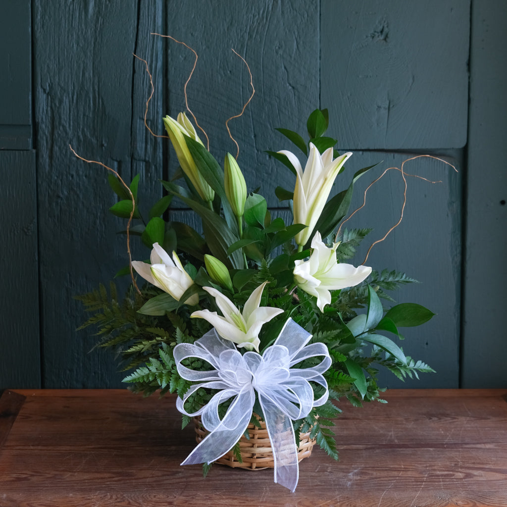 Lily Basket | Funeral Flowers in Lexington, KY | Michler's Florist