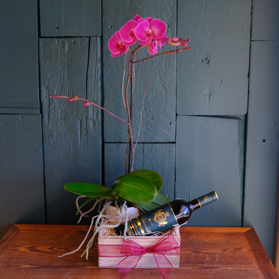 オトメイトwithUシリーズ＋＋ フレグランスBOX ver.Orlok Orchid and Wine Gift Box | Lexington, KY | Michler's Florist