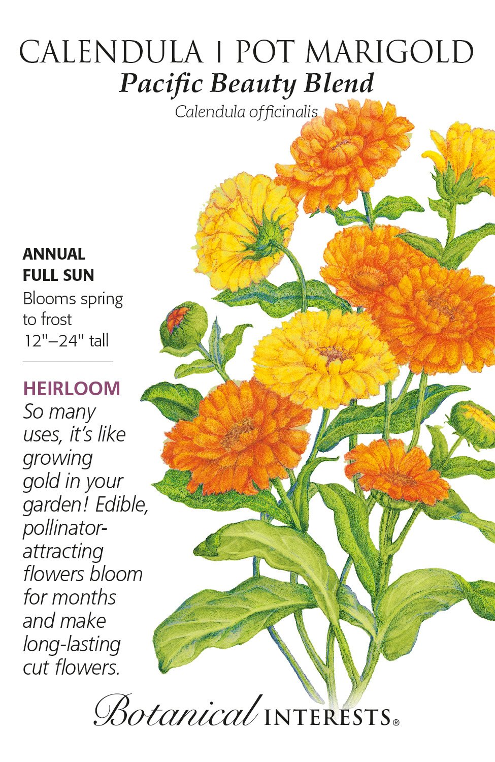 Calendula Pacific Beauty Blend – Michler's Florist, Greenhouses