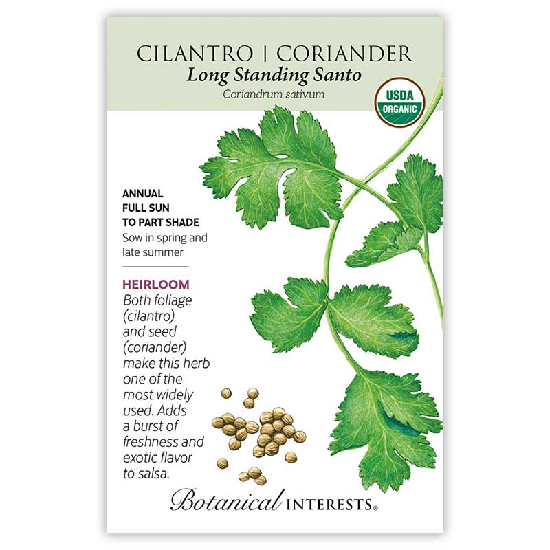 Cilantro Coriander Long Standing Santo | Seeds in Lexington, KY ...