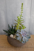 Succulent Planter in Black Clay at Michler's Florist in Lexington, KY