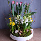 Tulip bulbs, hyacinth bulbs, daffodil bulbs in a planter by Michler's Florist