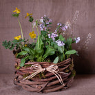 Woodland wildflowers, woodland poppy, virginia bluebells, tiarella at Micher's Florist