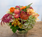 Thanksgiving Centerpiece with Cymbidium Orchids, Double Tulips, Pin Cushion Protea | Michler's Florist