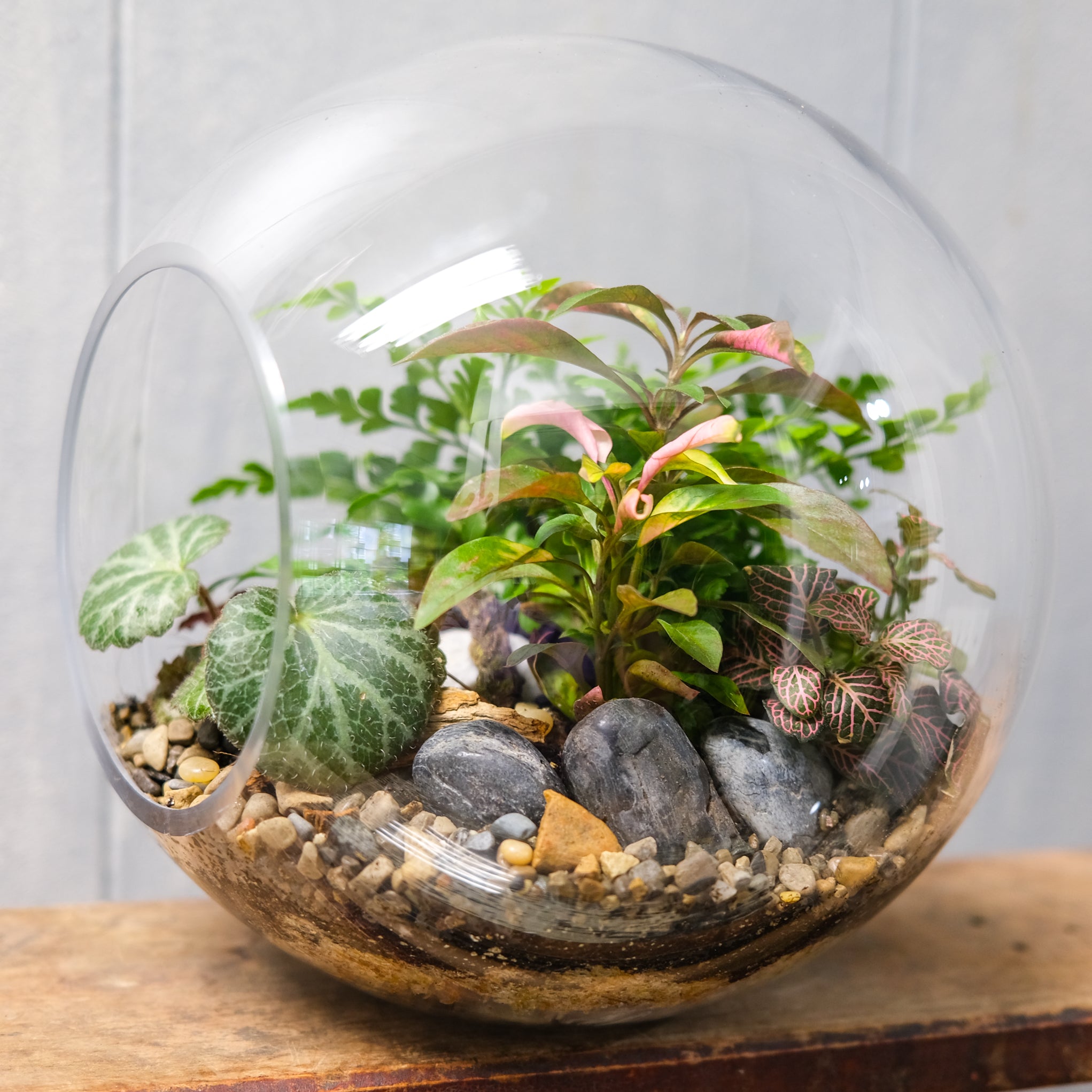 floral garden terrarium planter Crosswinds Terrarium