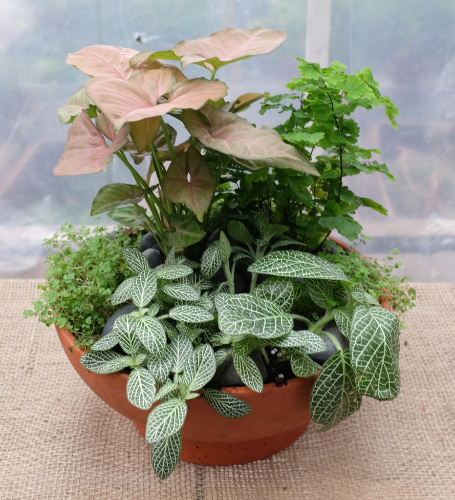Foliage garden planter. Michler's Florist, Greenhouses & Garden Design