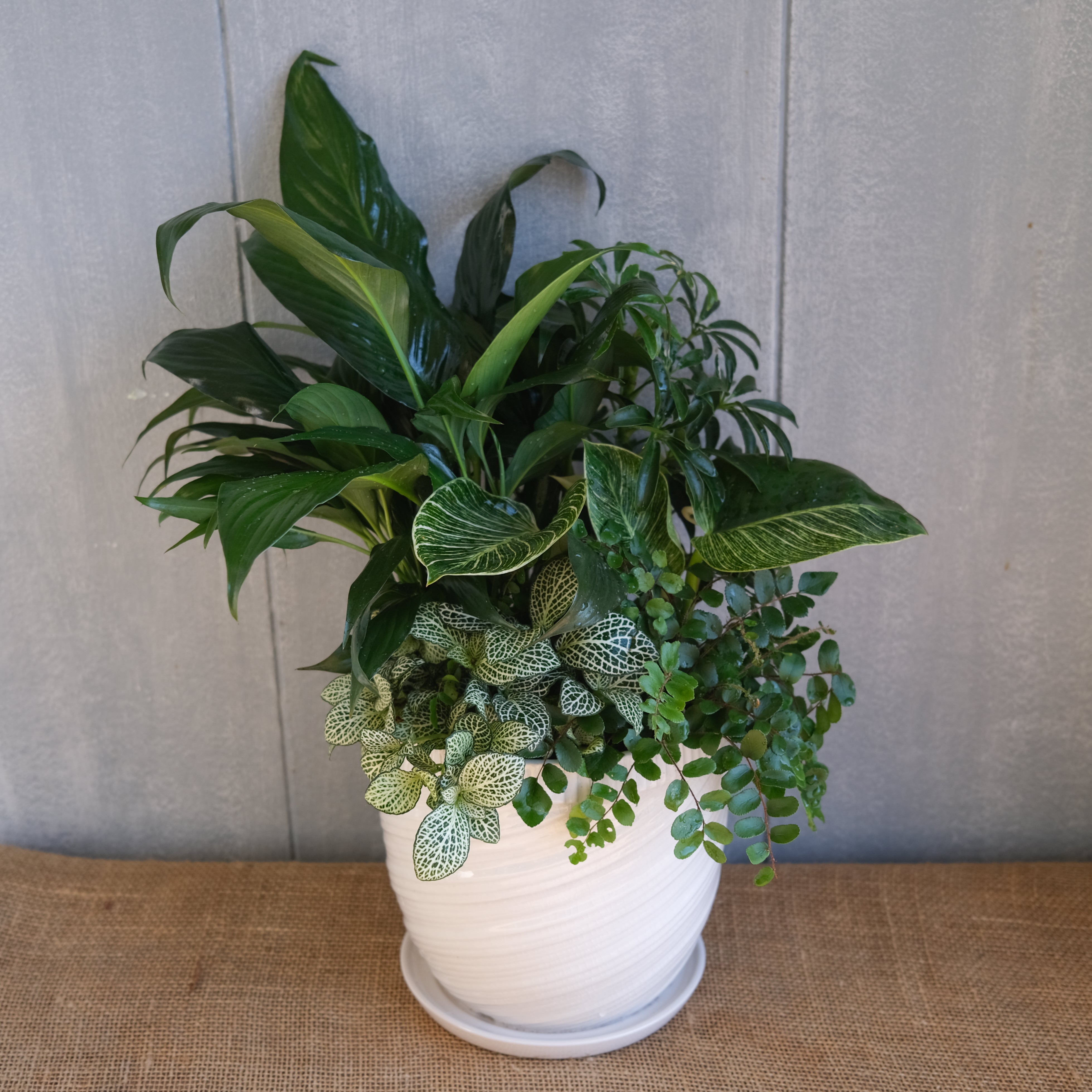 elegant pot plants Hampton Foliage Planter
