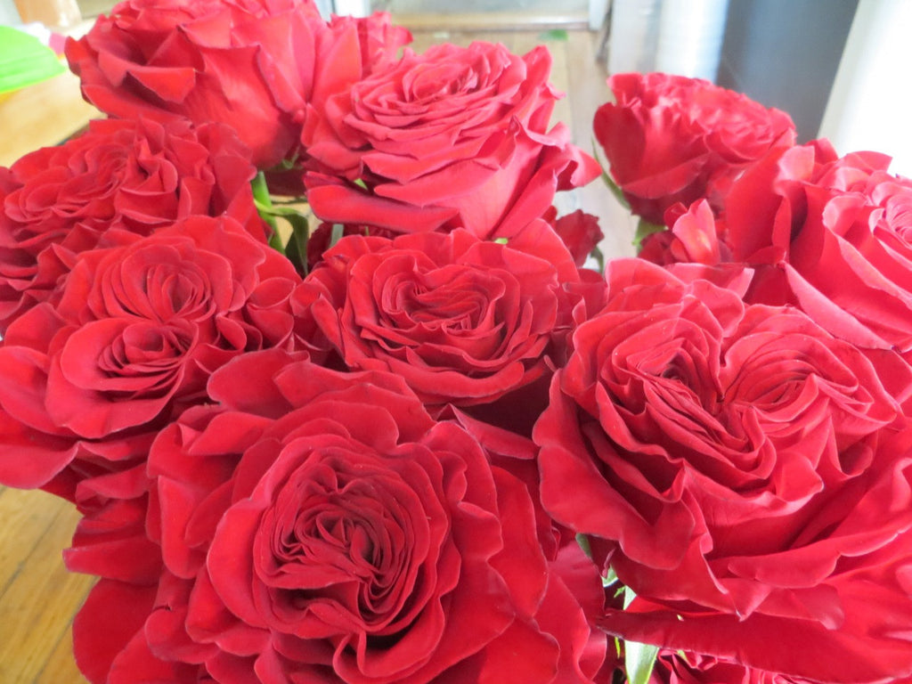 'Hearts' Roses at Michler's Florist in Lexington, KY