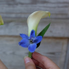 Calla Lily Boutonniere | Michler's Florist