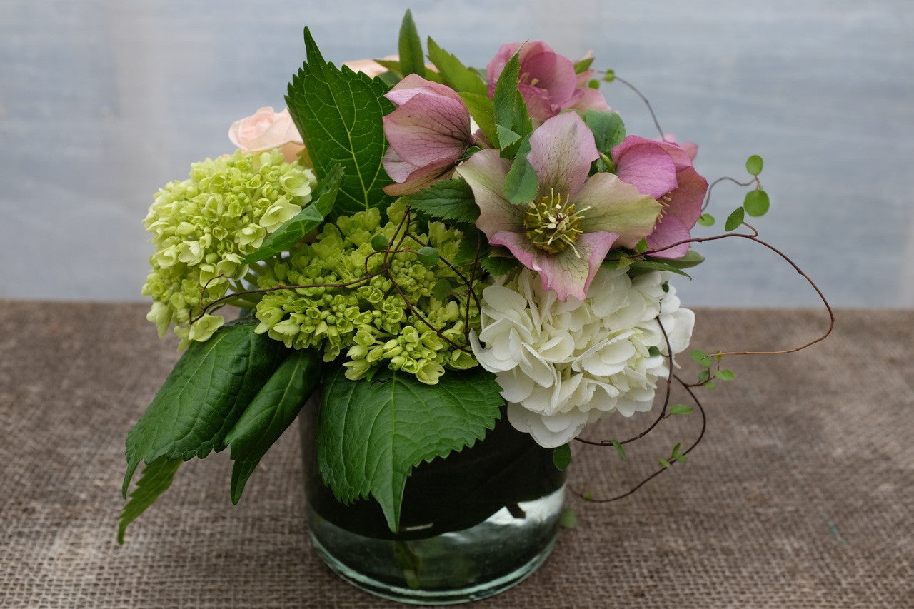 Melrose: Floral arrangement whith white and green Hydrangea, Buttercream: Flower Arrangement with white Hydrangea, and Hellebore (Lenten Roses), designed by Michler's Florst in Lexington, KY