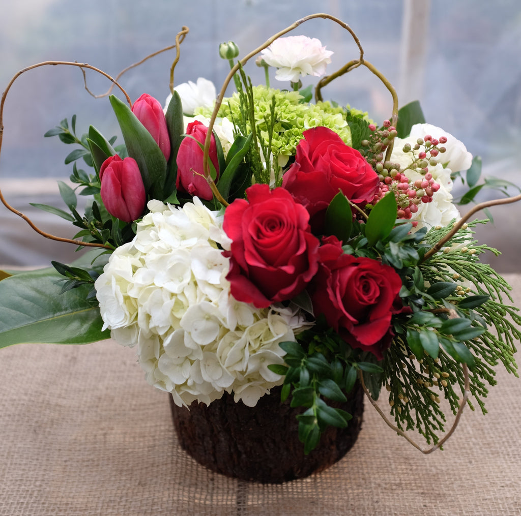 Noel: Christmas Flower Arrangement with white Hydrangea, red Roses, and red Tulips. Michler's Florist in Lexington, KY