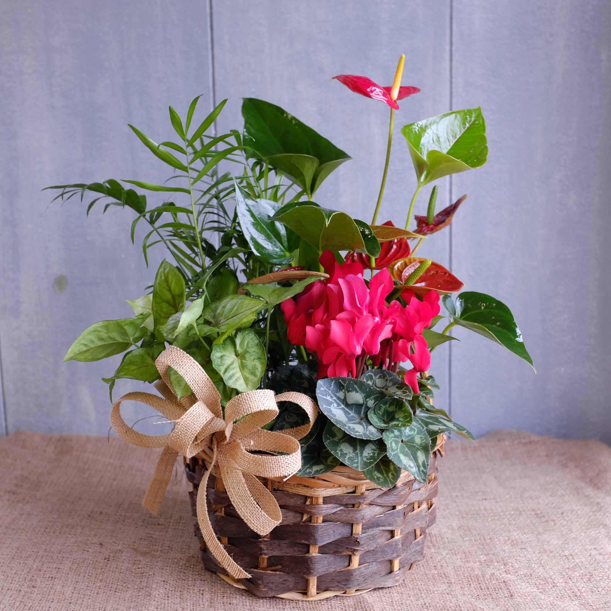A basket of red blooming and foliage tropical plants