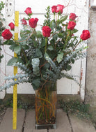 The Big Dozen - Yard Tall Red Rose Arrangement | Michler's Florist